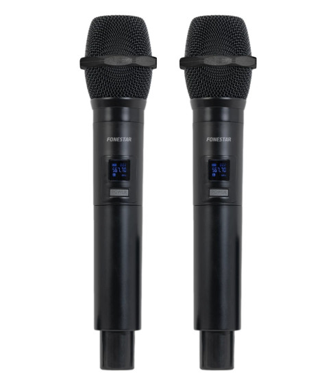 Double microphone sans fil professionnel avec récepteur fixe